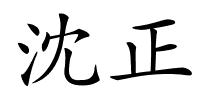 沈正的解释