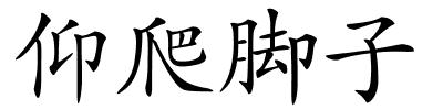 仰爬脚子的解释