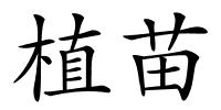 植苗的解释