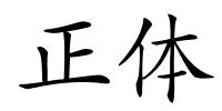 正体的解释