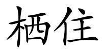 栖住的解释