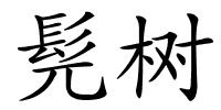 髡树的解释