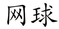 网球的解释