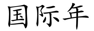 国际年的解释