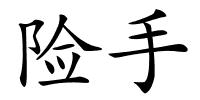 险手的解释