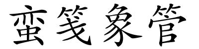蛮笺象管的解释