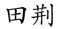 田荆的解释