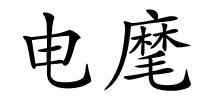 电麾的解释