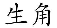 生角的解释