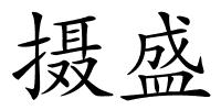 摄盛的解释