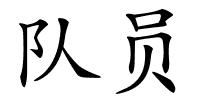 队员的解释