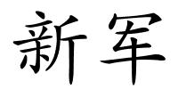 新军的解释