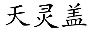 天灵盖的解释