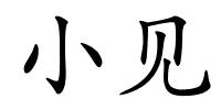 小见的解释