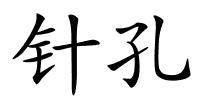 针孔的解释