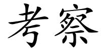 考察的解释
