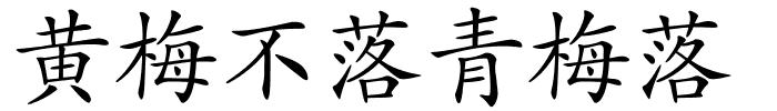 黄梅不落青梅落的解释