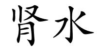 肾水的解释