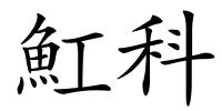 魟科的解释