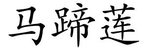 马蹄莲的解释