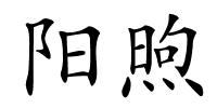 阳煦的解释