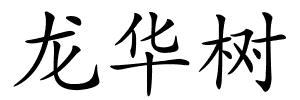 龙华树的解释