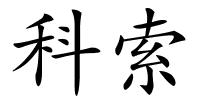 科索的解释