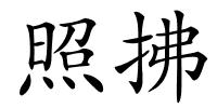 照拂的解释