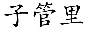 子管里的解释