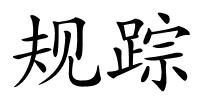 规踪的解释