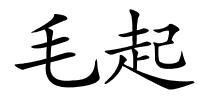 毛起的解释