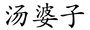 汤婆子的解释