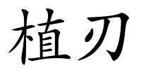 植刃的解释