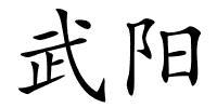 武阳的解释