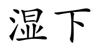湿下的解释