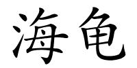 海龟的解释