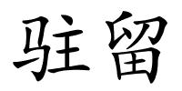 驻留的解释