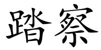 踏察的解释