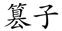 篡子的解释