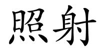 照射的解释