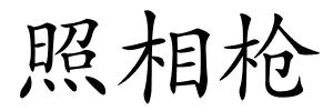 照相枪的解释
