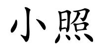 小照的解释