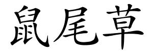 鼠尾草的解释