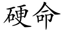 硬命的解释
