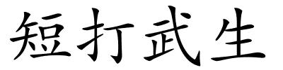 短打武生的解释