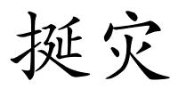 挻灾的解释