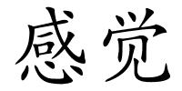 感觉的解释