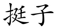 挺子的解释