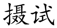 摄试的解释