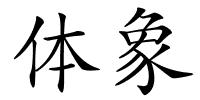 体象的解释